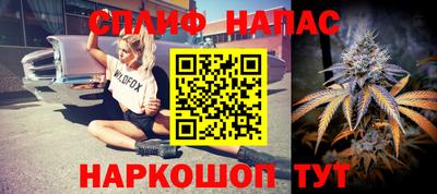 мдпв Татарск