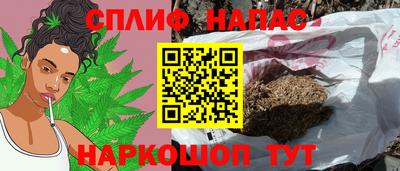 мдпв Татарск