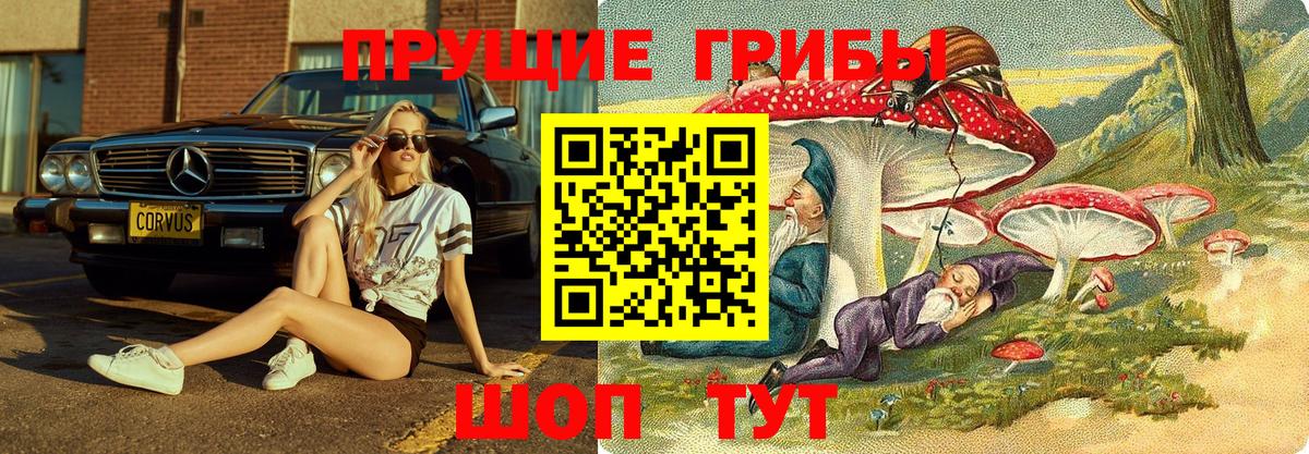 Учалы  Псилоцибиновые грибы Psilocybine cubensis  Псилоцибиновые грибы MAGIC MUSHROOMS  Вход с VPN 